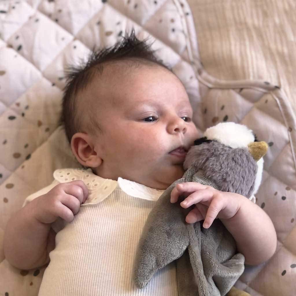Auch bekannt als Kuschelstoff-Pinguin