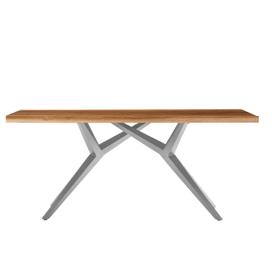 Tisch 220x100 cm