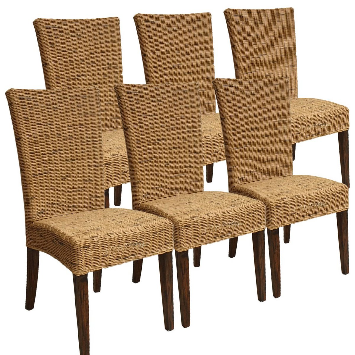 Esszimmer Stühle 6er Set Rattanstühle Wintergarten Korbstühle Cardine cabana Sitzkissen braun