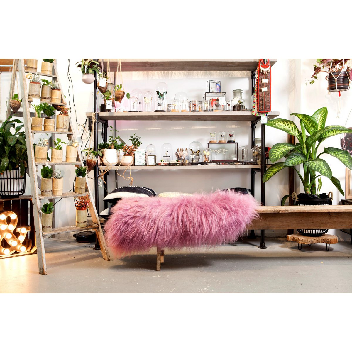 SHEEPSKIN ISLANDIC PINK 90-110cm